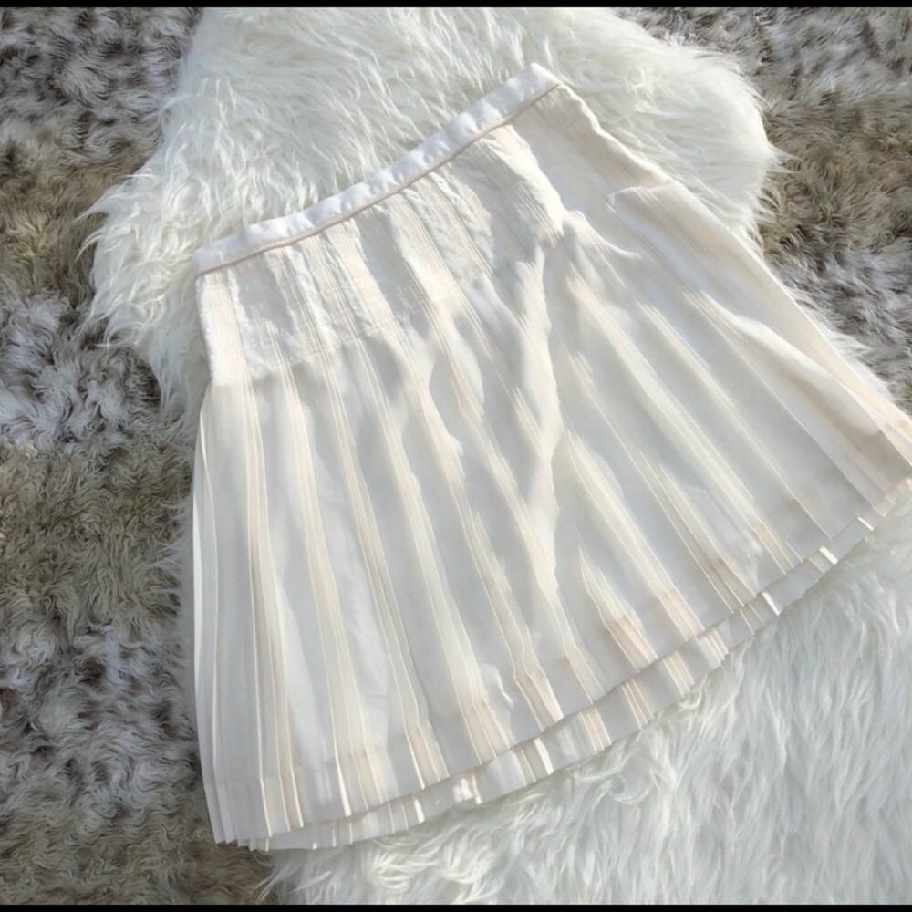 J Crew Skirt